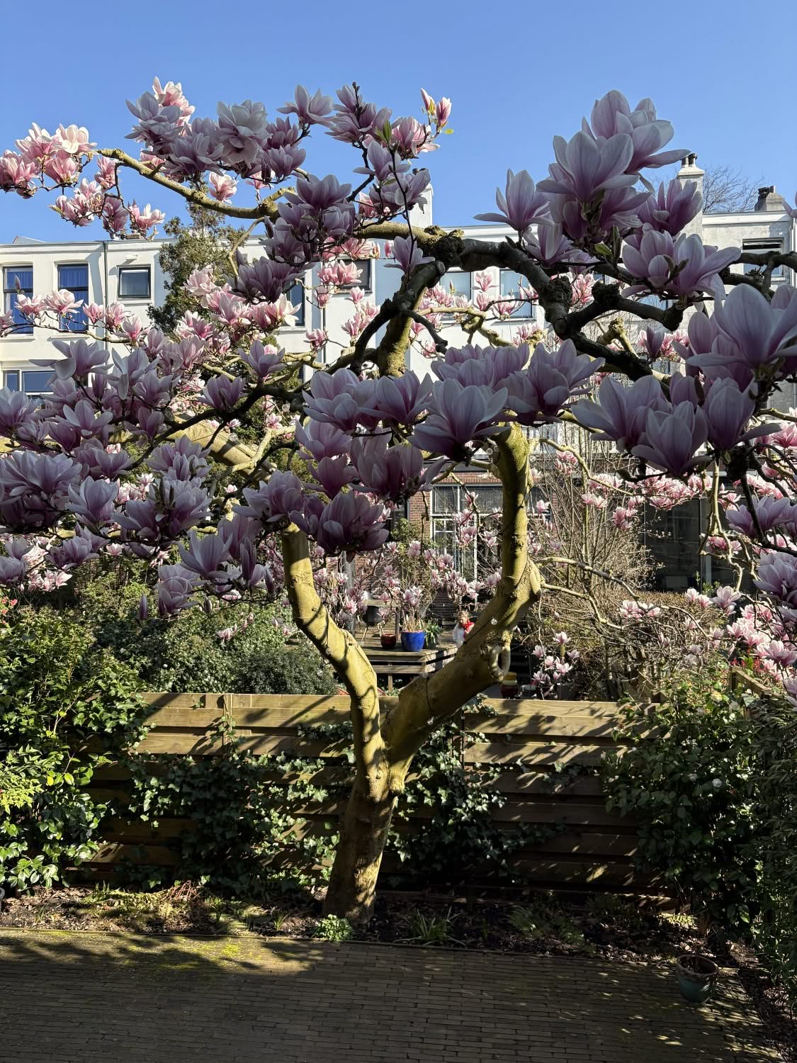 groovy gardens 03