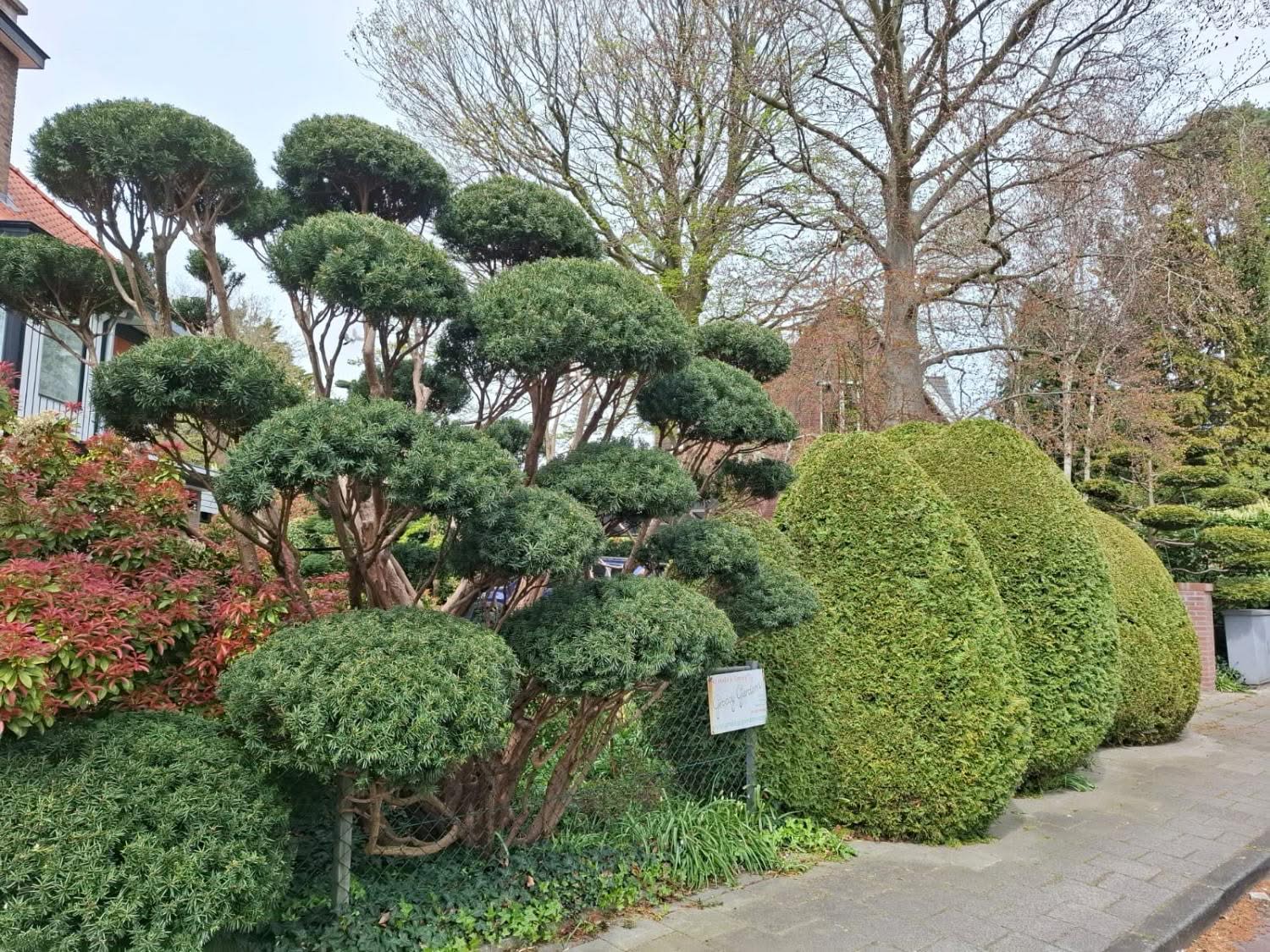groovy gardens 10 groovy gardens 10